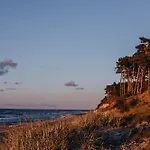 Drzewostan * 尼彻兹