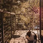 Drzewostan 尼彻兹