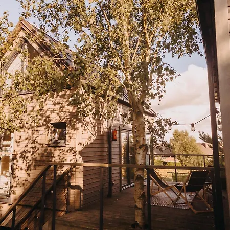 Drzewostan Niechorze