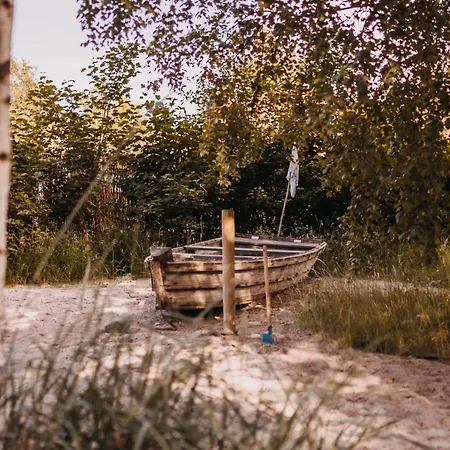 Drzewostan * Niechorze