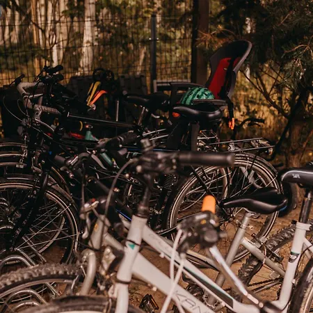 Casa de Férias Drzewostan