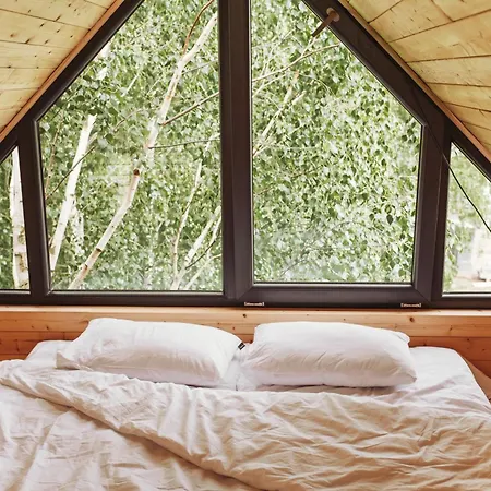 Drzewostan Casa de Férias *