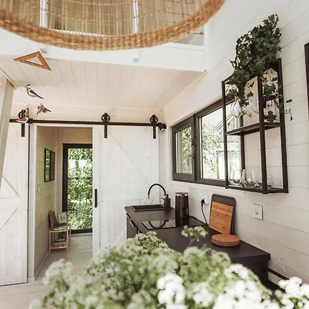 Drzewostan Niechorze