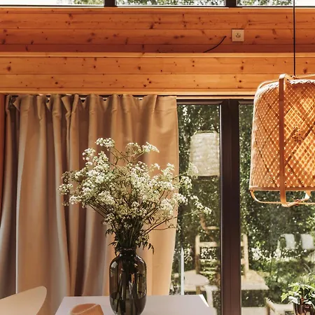 Casa de Férias Drzewostan *