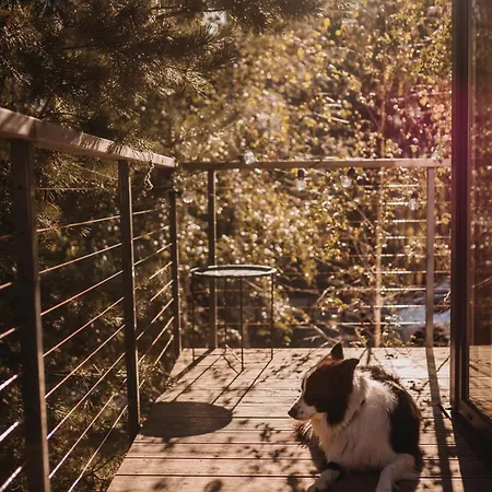 Drzewostan Niechorze