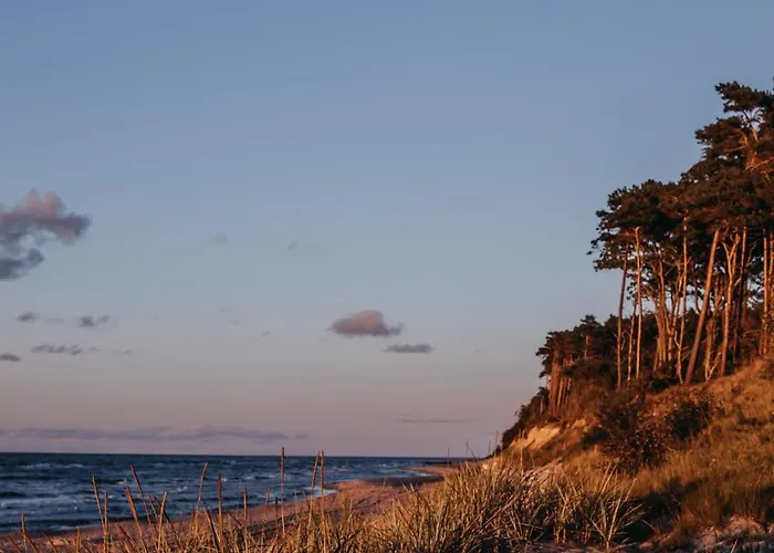 Drzewostan * 니에초르체