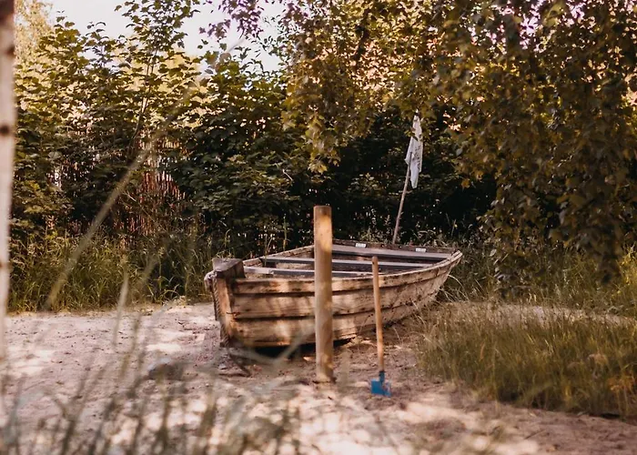 Drzewostan * Niechorze