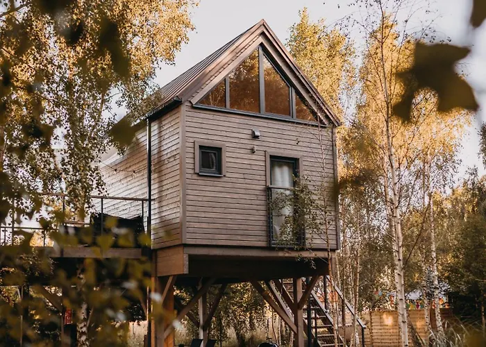 Drzewostan Ferienhaus *