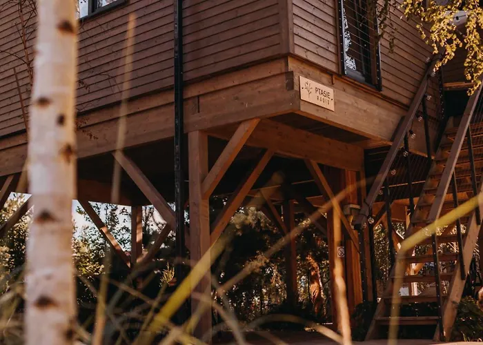 Drzewostan Ferienhaus Niechorze