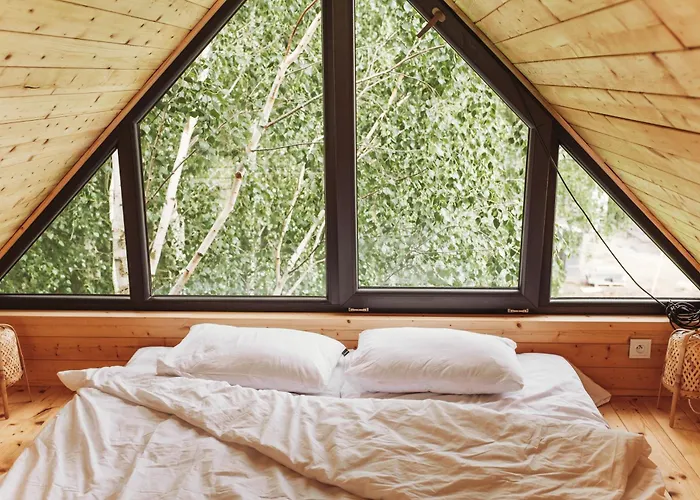 Drzewostan Ferienhaus *