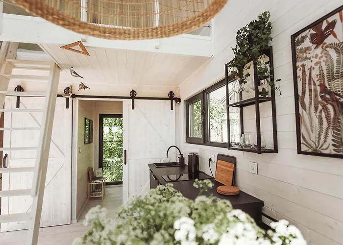 Drzewostan Niechorze