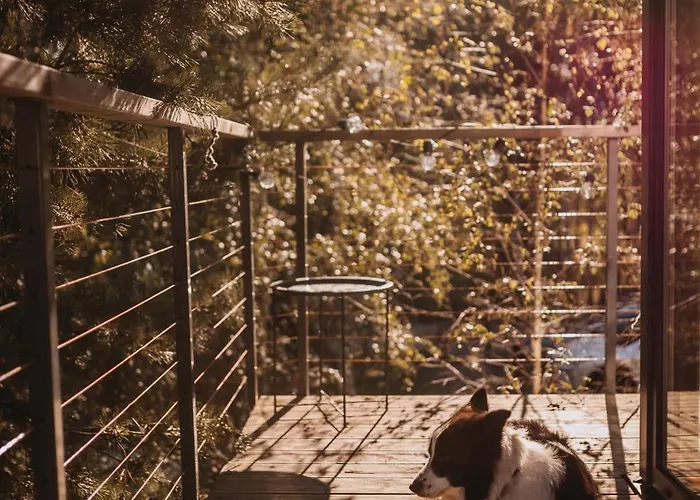 Drzewostan Niechorze